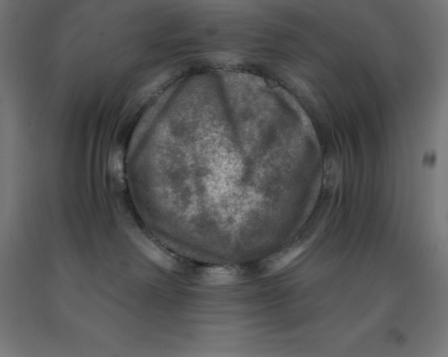 X0000092000238200709271514