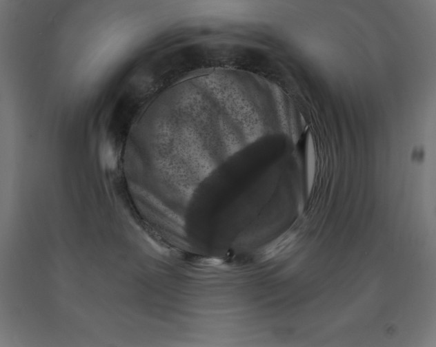 X0000092000239200709271514