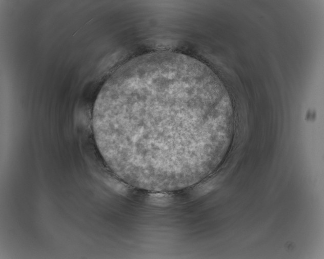 X0000092000240200709271514