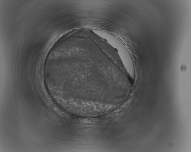 X0000092000241200709271514