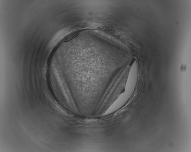 X0000092000242200709271514