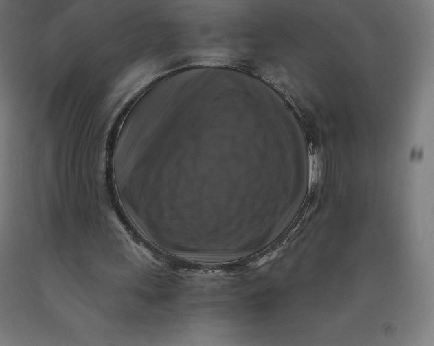 X0000092000243200709271514