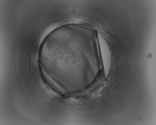 X0000092000244200709271514