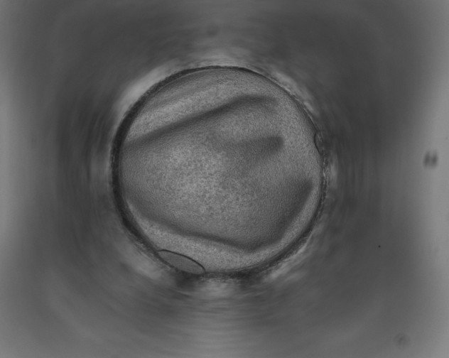 X0000092000248200709271514