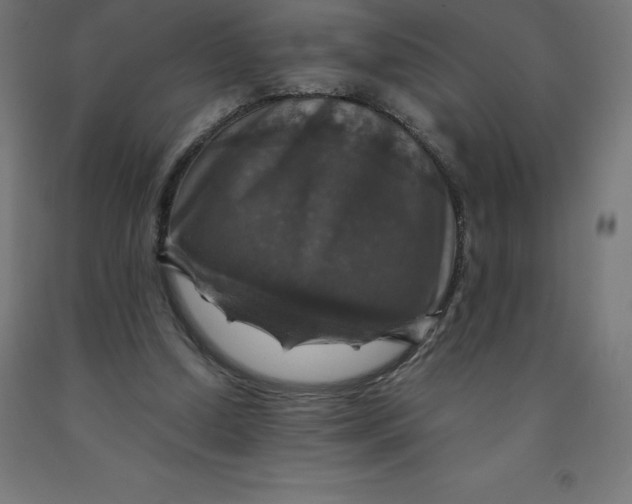 X0000092000250200709271514