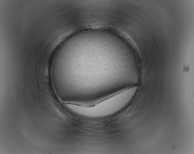 X0000092000251200709271514