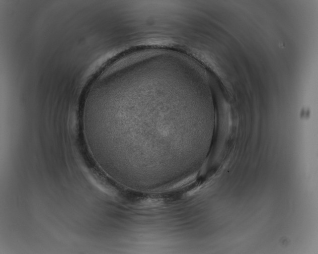 X0000092000252200709271514