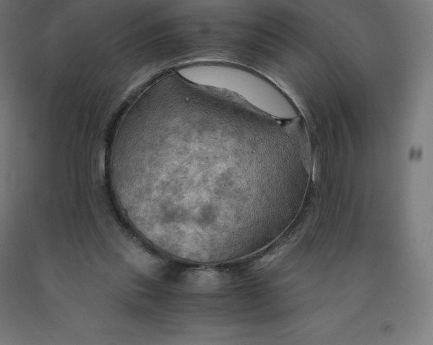 X0000092000253200709271514