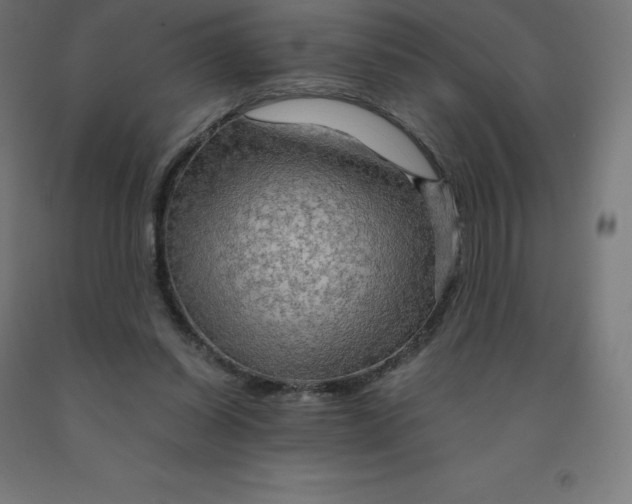 X0000092000254200709271514