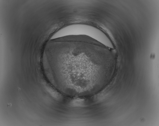 X0000092000257200709271514