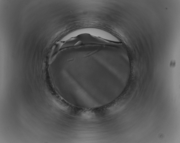 X0000092000258200709271514