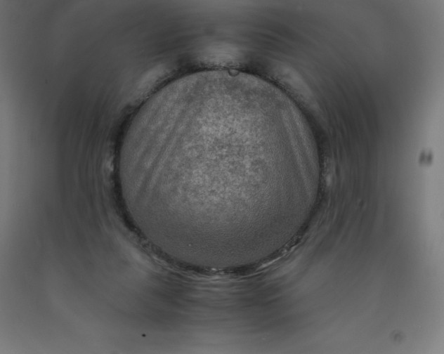 X0000092000259200709271514