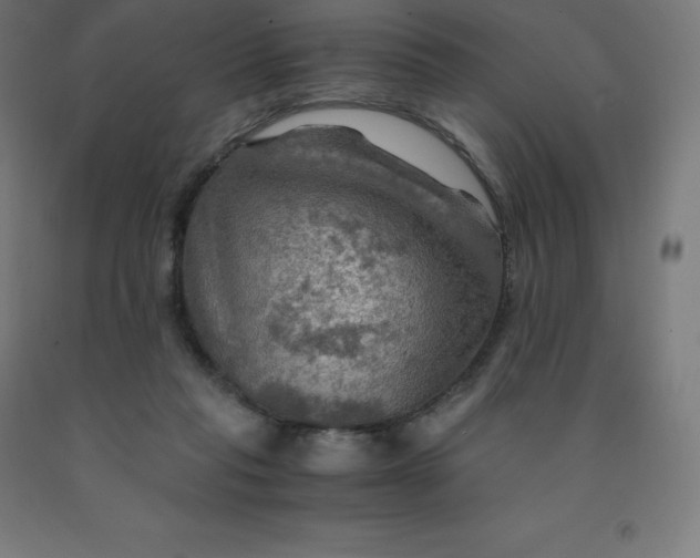 X0000092000261200709271514