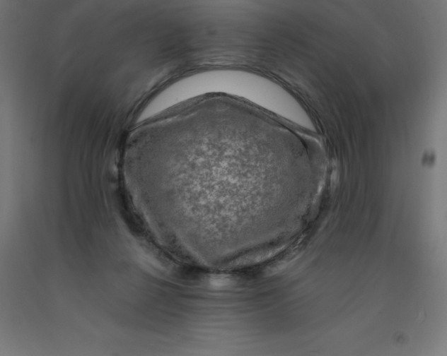 X0000092000264200709271514