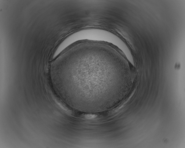 X0000092000265200709271514