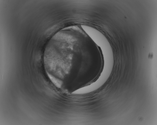 X0000092000266200709271514