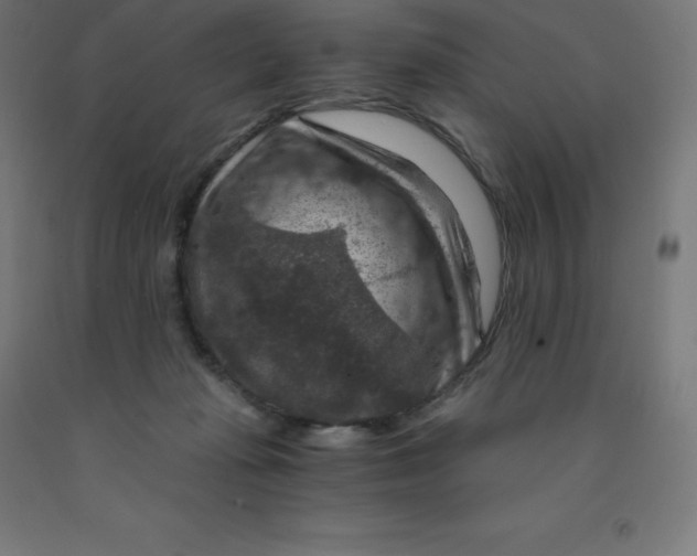 X0000092000269200709271514