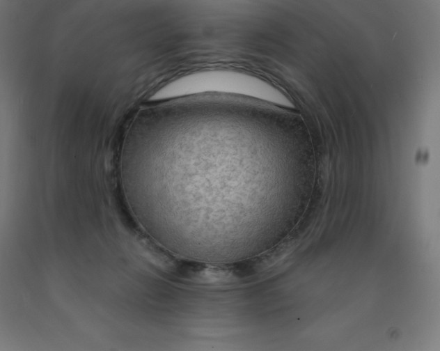 X0000092000270200709271514