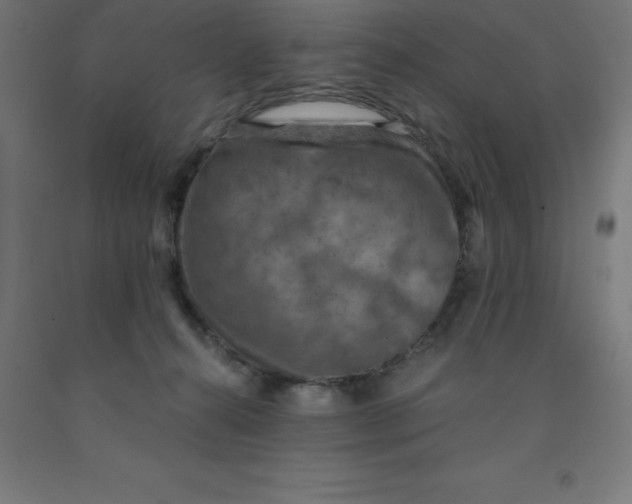 X0000092000272200709271514