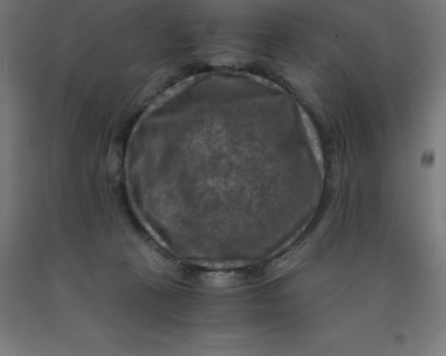 X0000092000273200709271514