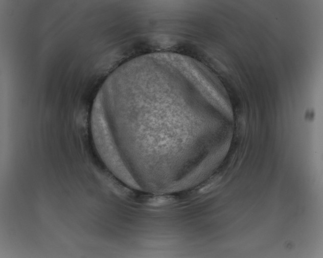 X0000092000274200709271514