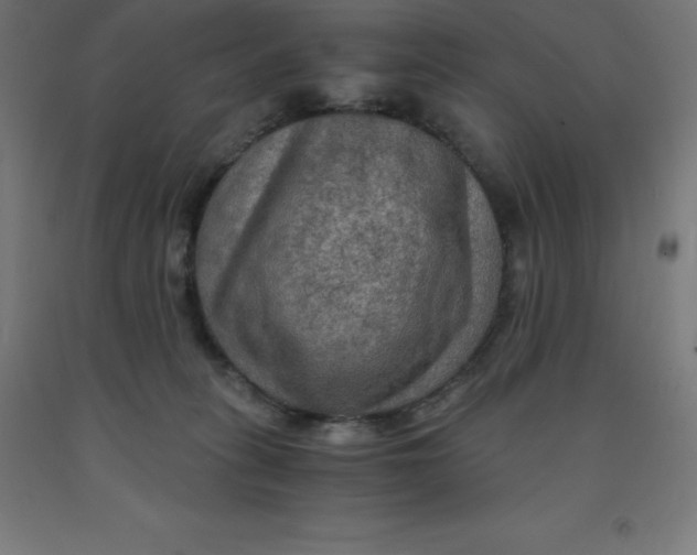 X0000092000275200709271514