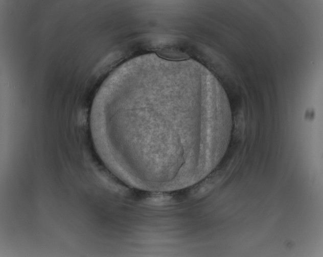 X0000092000278200709271514