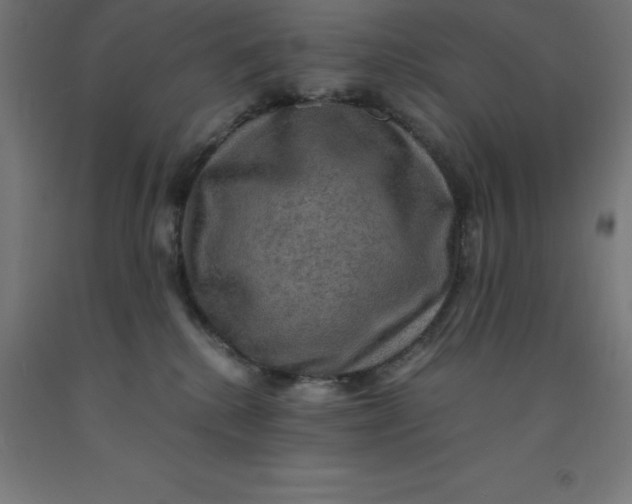 X0000092000280200709271514