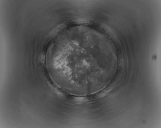 X0000092000281200709271514