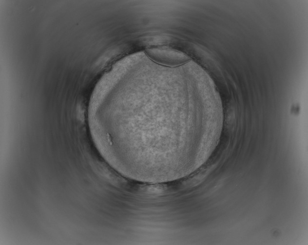 X0000092000282200709271514