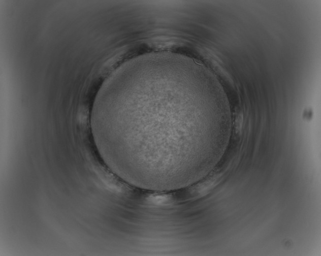 X0000092000283200709271514