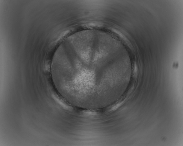 X0000092000284200709271514