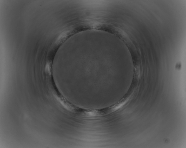 X0000092000286200709271514