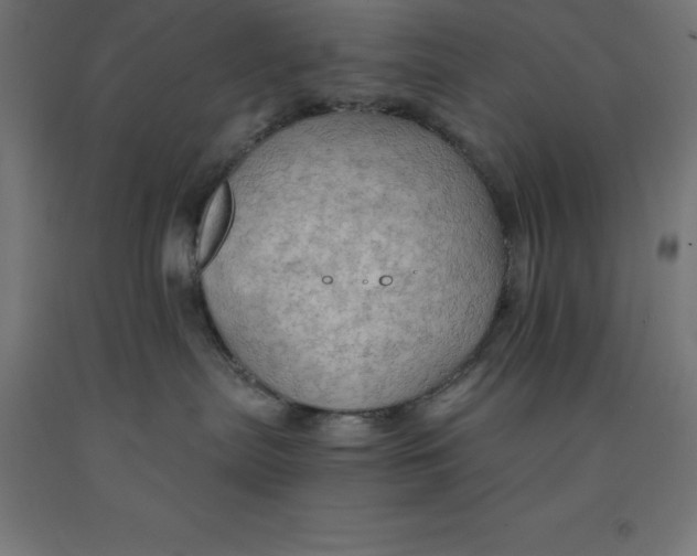 X0000092000287200709271514