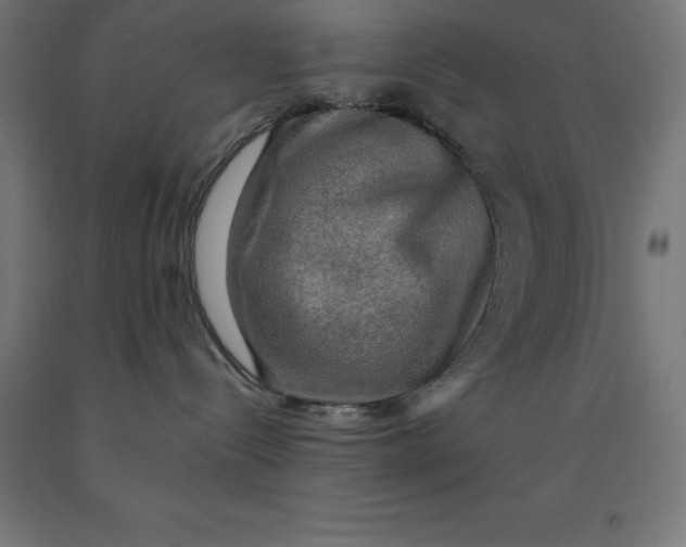 X0000092000288200709271514