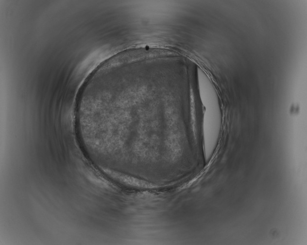 X0000092000290200709271514