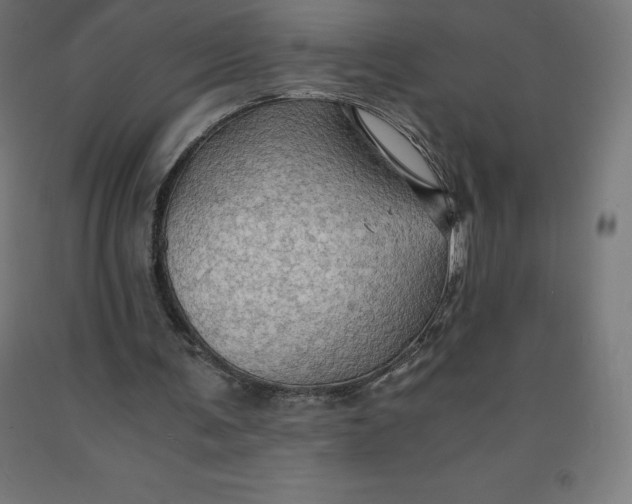 X0000092000291200709271514