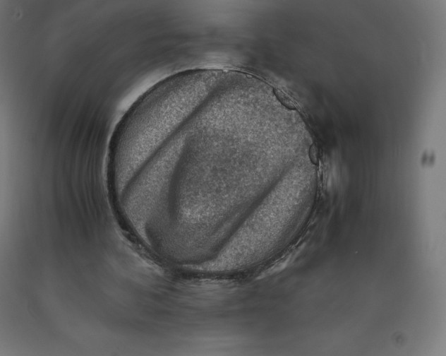 X0000092000292200709271514