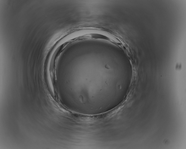 X0000092000293200709271514