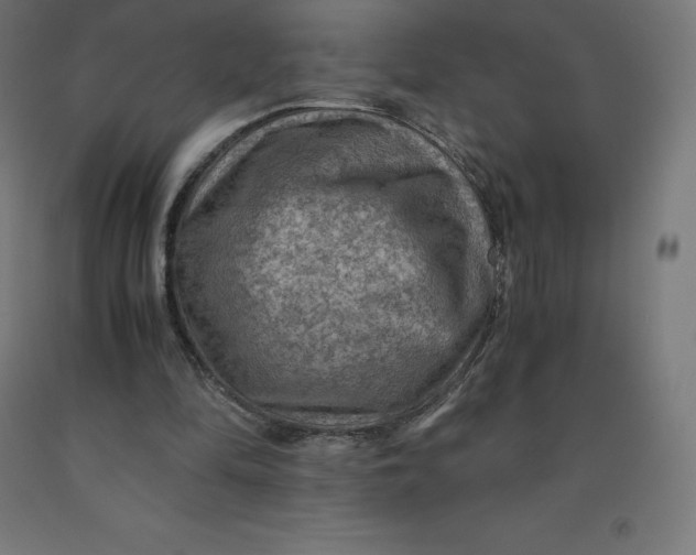 X0000092000294200709271514