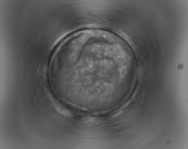 X0000092000297200709271514