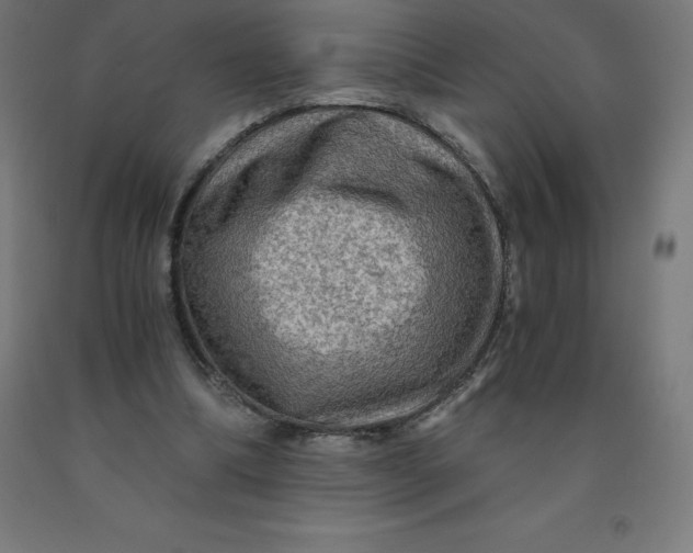 X0000092000298200709271514