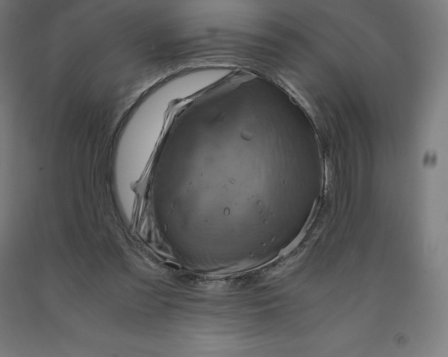 X0000092000301200709271514