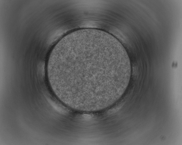 X0000092000302200709271514