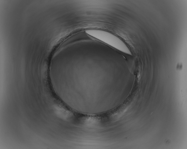 X0000092000303200709271514