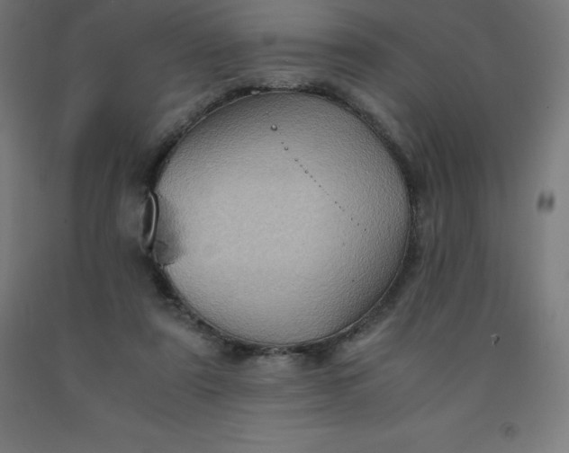 X0000092000307200709271513