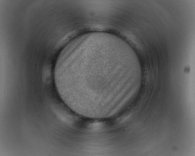 X0000092000312200709271513