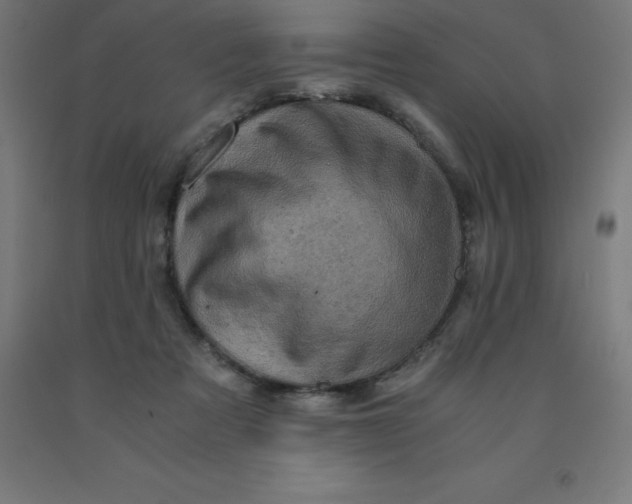 X0000092000313200709271513