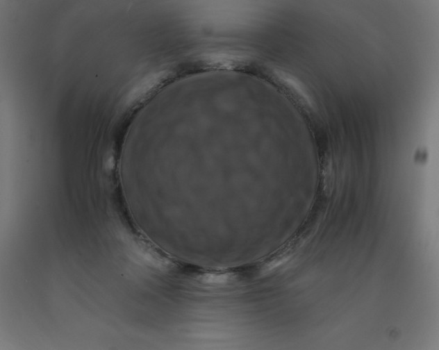 X0000092000314200709271513