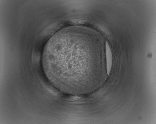 X0000092000315200709271513